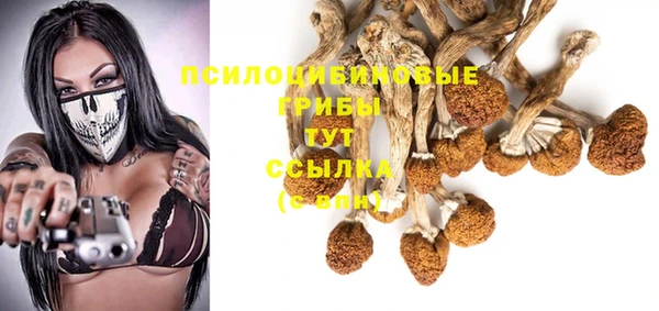 синтетический гашиш Алексин