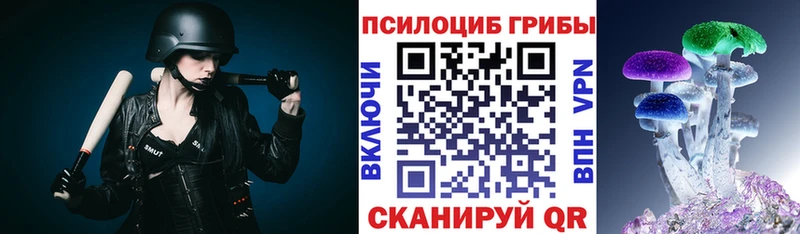 что такое наркотик  Чадан  Галлюциногенные грибы Psilocybine cubensis 